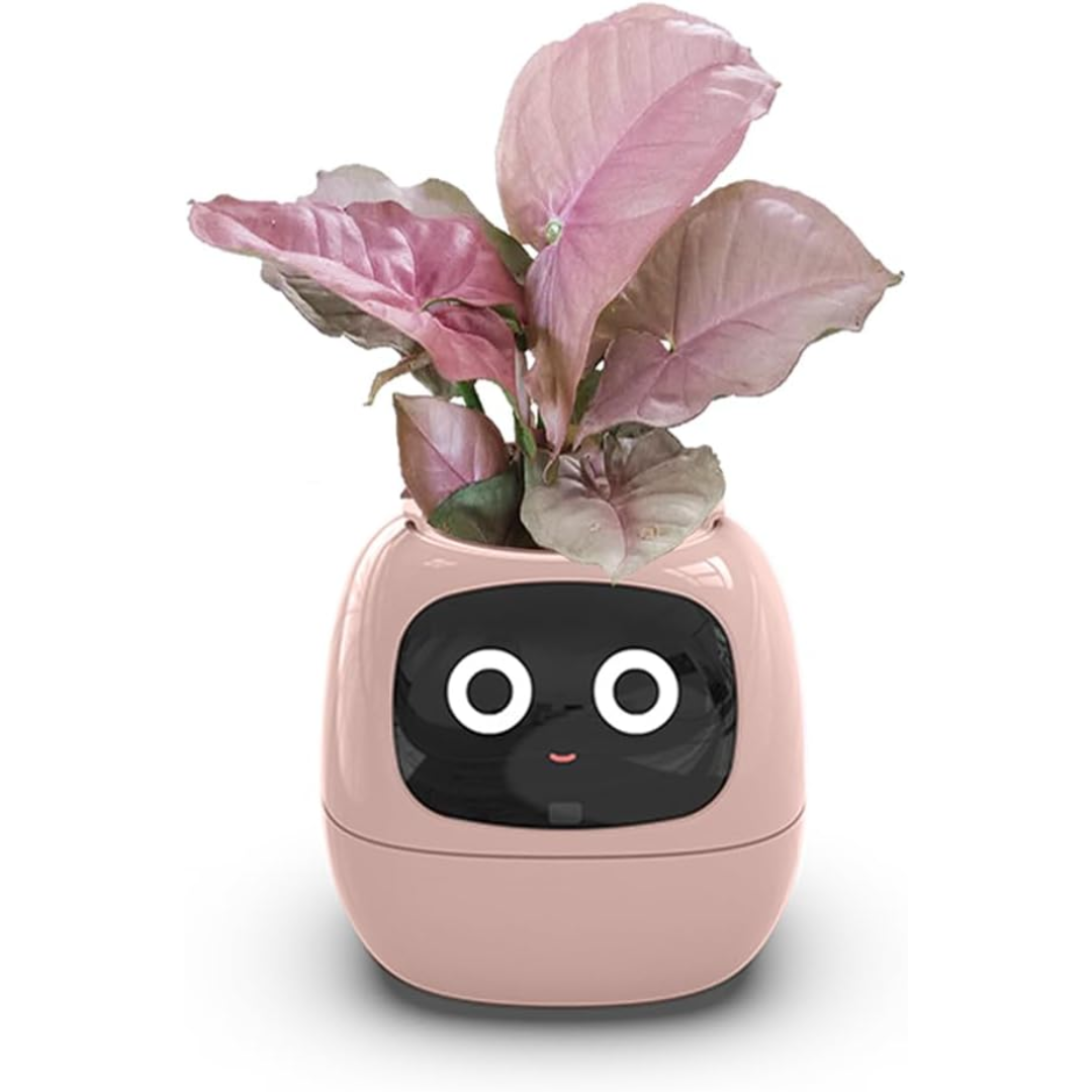 Smart Planter