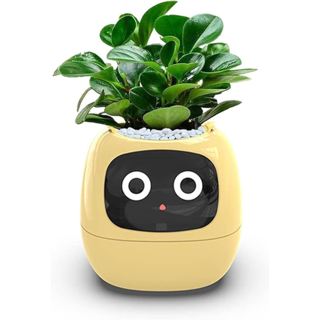 Smart Planter