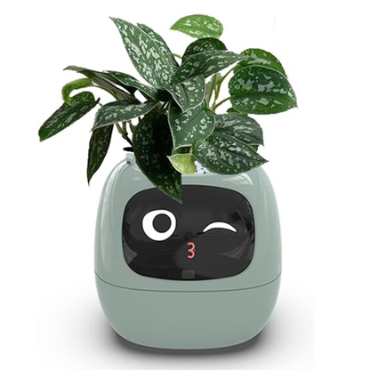 Smart Planter