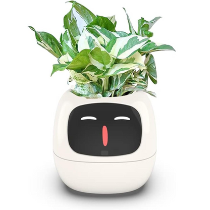 Smart Planter