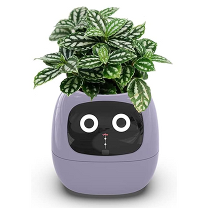 Smart Planter